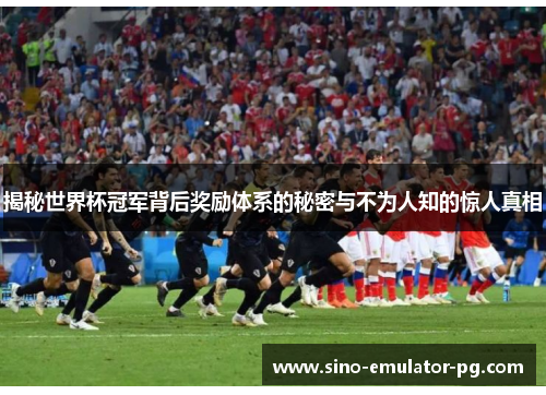 揭秘世界杯冠军背后奖励体系的秘密与不为人知的惊人真相