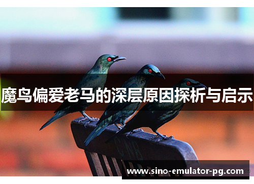 魔鸟偏爱老马的深层原因探析与启示