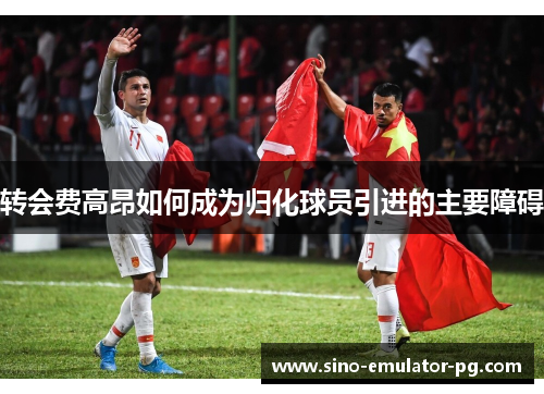 转会费高昂如何成为归化球员引进的主要障碍