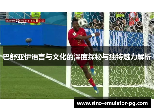 巴舒亚伊语言与文化的深度探秘与独特魅力解析 巴舒亚伊语言与文化的深度探秘与独特魅力解析