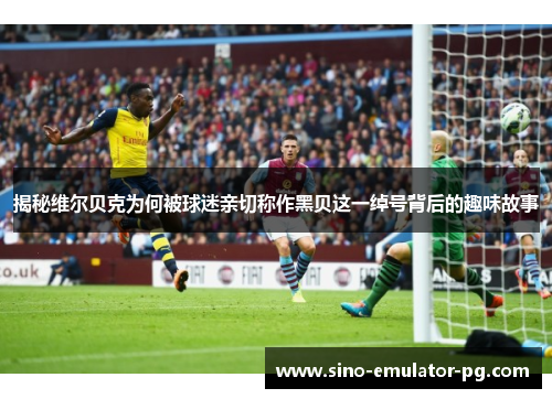 揭秘维尔贝克为何被球迷亲切称作黑贝这一绰号背后的趣味故事