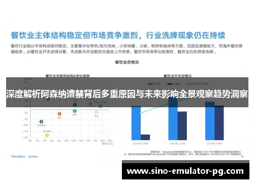 深度解析阿森纳遭禁背后多重原因与未来影响全景观察趋势洞察
