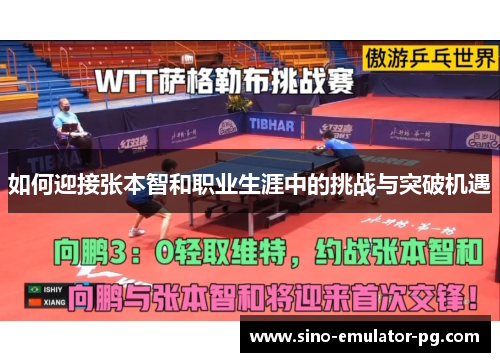 如何迎接张本智和职业生涯中的挑战与突破机遇