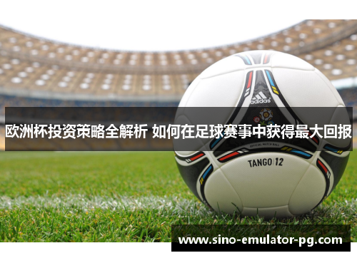 欧洲杯投资策略全解析 如何在足球赛事中获得最大回报