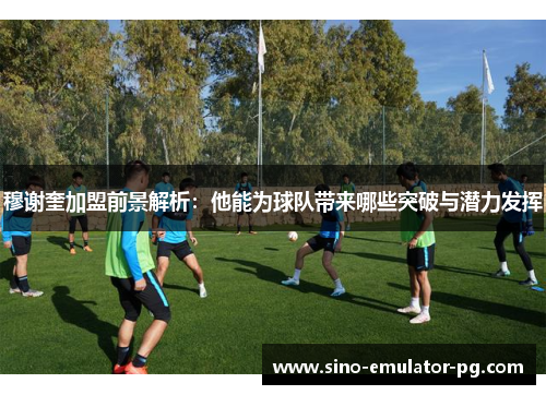 穆谢奎加盟前景解析：他能为球队带来哪些突破与潜力发挥