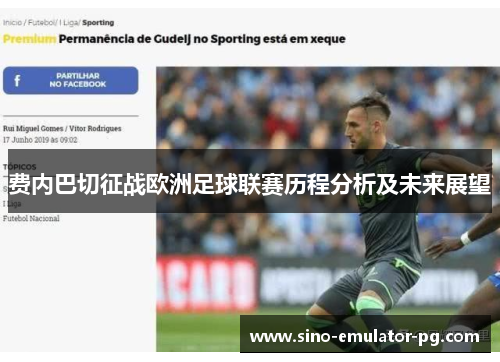 费内巴切征战欧洲足球联赛历程分析及未来展望