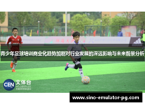 青少年足球培训商业化趋势加剧对行业发展的深远影响与未来前景分析 青少年足球培训商业化趋势加剧对行业发展的深远影响与未来前景分析