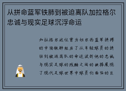 从拼命蓝军铁肺到被迫离队加拉格尔忠诚与现实足球沉浮命运